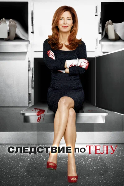 Постер: Следствие по телу